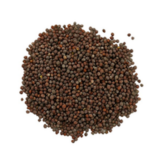 Mustard Seeds Per Kg