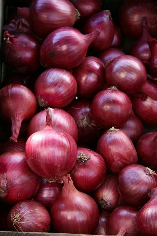 Onion